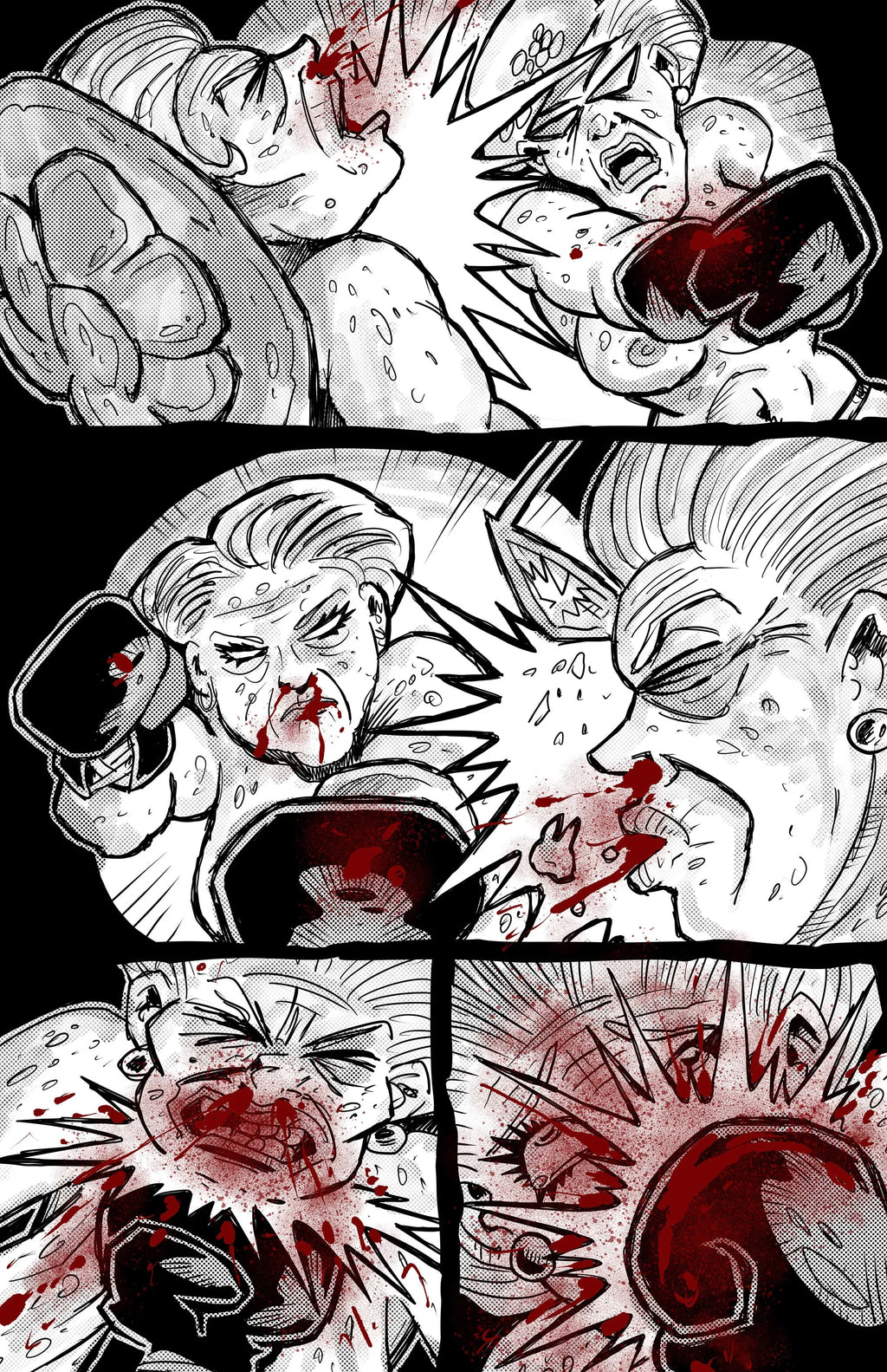 Indecent Conservative Ladies Engaging In Extreme Pugilism